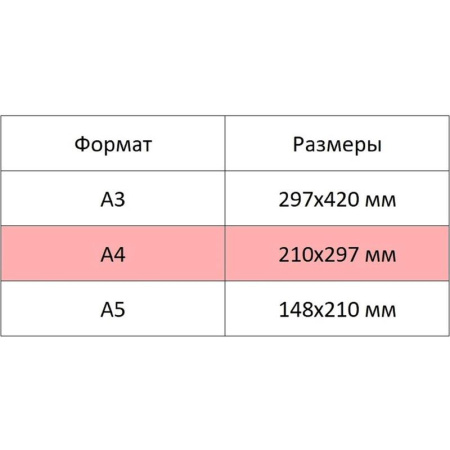 Альбом для рисования №1 School Kitty А4 32 листа кошка (2 штуки в  упаковке)