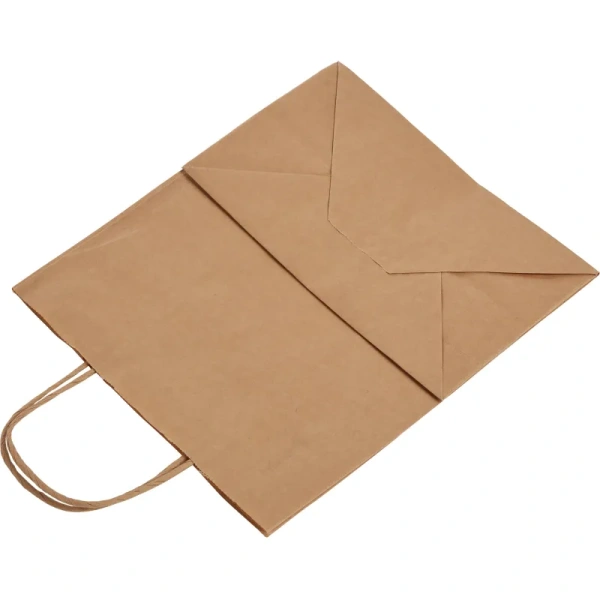 Крафт-пакет бумажный коричневый с кручеными ручками 24x14х28 см 70   г/кв.м био (250 штук в упаковке)