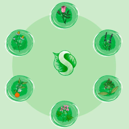 Жидкое мыло гипоаллергенное Синергетик 500 мл