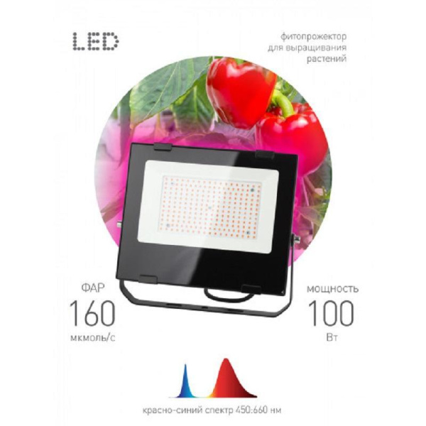 Фитопрожектор Эра Fito-100W-RB-LED красно-синего спектра 100 Вт  (Б0046369)