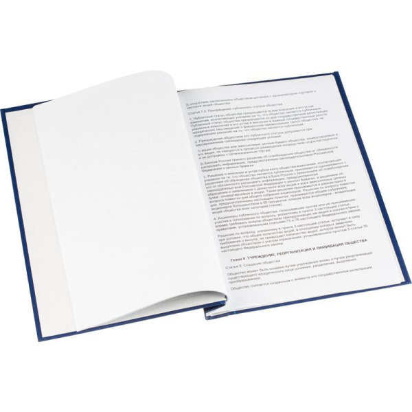 Папка Дипломный проект А4 бумвинил синяя