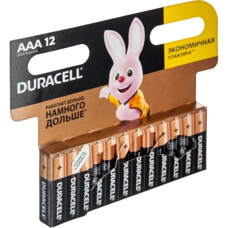 Батарейки Duracell Basic мизинчиковые ААA LR03 (12 штук в упаковке)