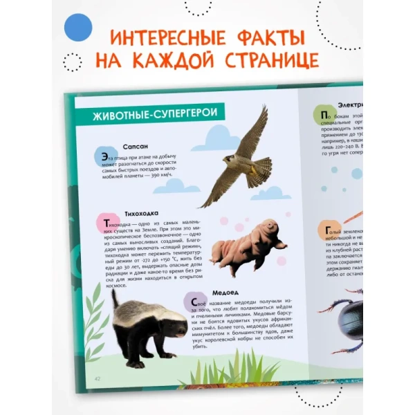 Энциклопедия Мозаика-синтез Животные (дошкольная возрастная категория)