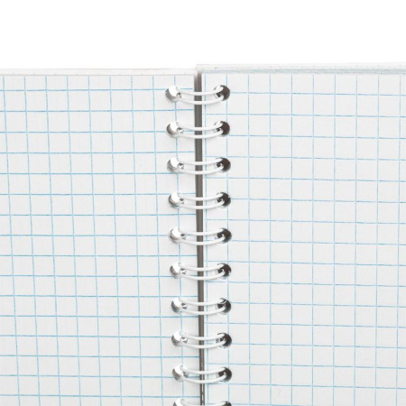 Бизнес-тетрадь Attache Selection Pastel A5 80 листов разноцветная в  клетку на спирали (145x203 мм)