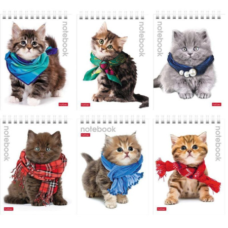 Блокнот Hatber Милые Котята А6 40 листов в клетку на спирали (обложка в  ассортименте) Блокнот Hatber Милые Котята А6 40 листов в клетку на спирали (обложка в  ассортименте)
