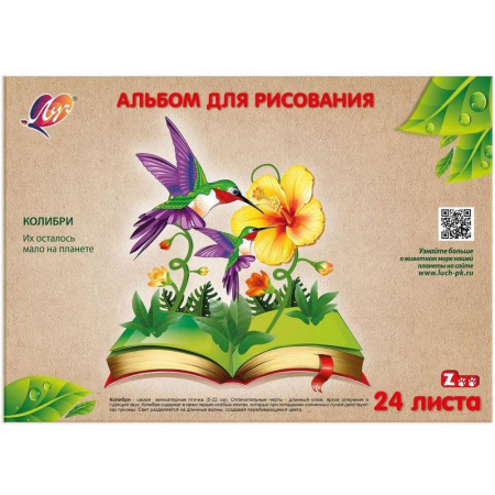 Альбом для рисования Луч Zoo Колибри А4 24 листов