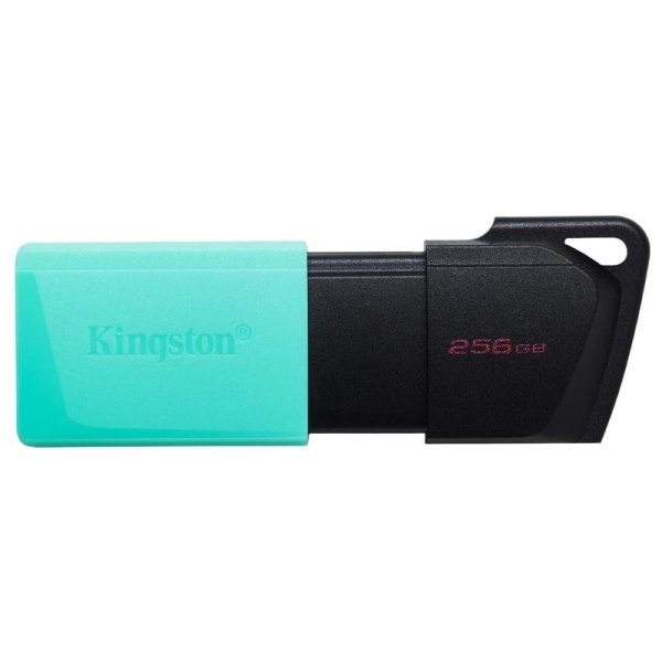 Флешка USB 3.0 256 ГБ Kingston DataTraveler Exodia M (DTXM/256GB)