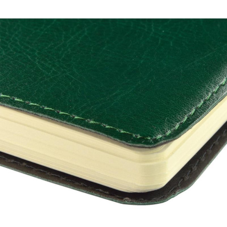 Ежедневник недатированный Bruno Visconti Milano искусственная кожа A5 172 листа зеленый (132х211 мм)