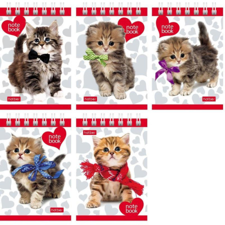 Блокнот Hatber На мягких лапках А7 40 листов без линовки на спирали  (обложка в ассортименте)