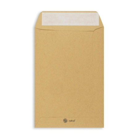 Пакет почтовый Multipack C5 из крафт-бумаги стрип 160х230 мм (80 г/кв.м, 50 штук в упаковке) Пакет почтовый Multipack C5 из крафт-бумаги стрип 160х230 мм (80 г/кв.м, 50 штук в упаковке)