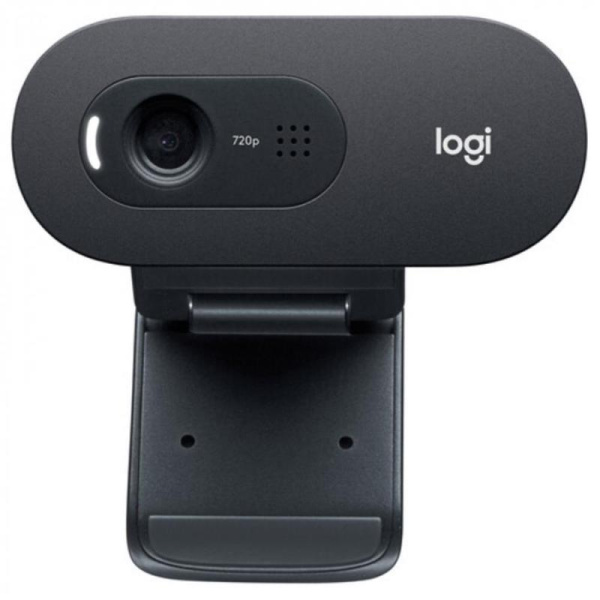 Веб-камера Logitech C505 HD Webcam (960-001364)