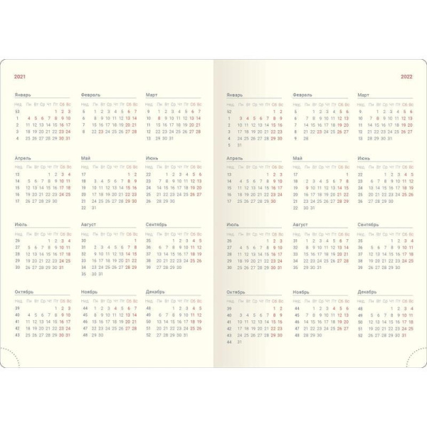 Ежедневник датированный 2021 год InFolio Challenge искусственная кожа A5 176 листов бордовый (140x200 мм)