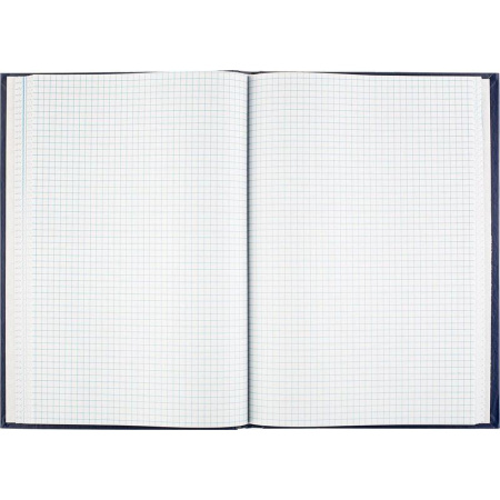 Книга учета бухгалтерская офсет А4 160 листов в клетку на сшивке (обложка - бумвинил) Книга учета бухгалтерская офсет А4 160 листов в клетку на сшивке (обложка - бумвинил)
