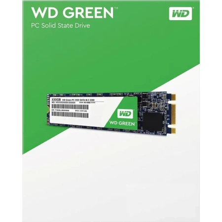 SSD накопитель WD SATA3 240G Green M.2 2280(WDS240G2G0B)