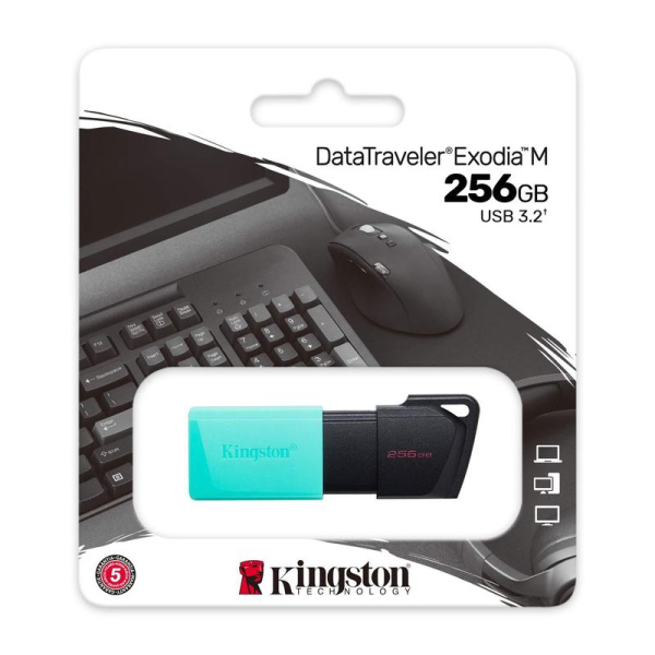Флешка USB 3.0 256 ГБ Kingston DataTraveler Exodia M (DTXM/256GB)