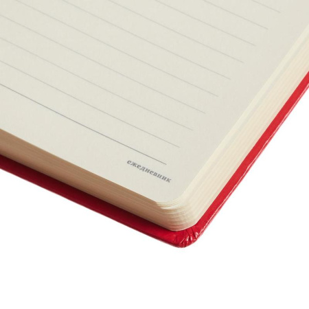 Ежедневник недатированный Bruno Visconti Megapolis искусственная кожа А5  160 листов красный (142x214 мм) Ежедневник недатированный Bruno Visconti Megapolis искусственная кожа А5  160 листов красный (142x214 мм)