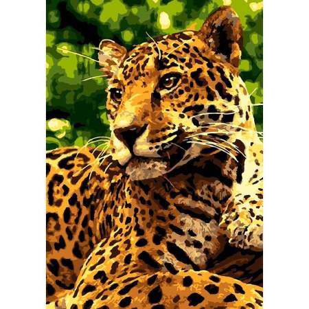 Картина по номерам Lori Ягуар