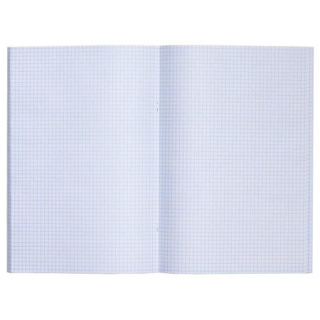 Бизнес-тетрадь Hatber Metallic А4 96 листов серебристая в клетку на скрепке (210x297 мм)