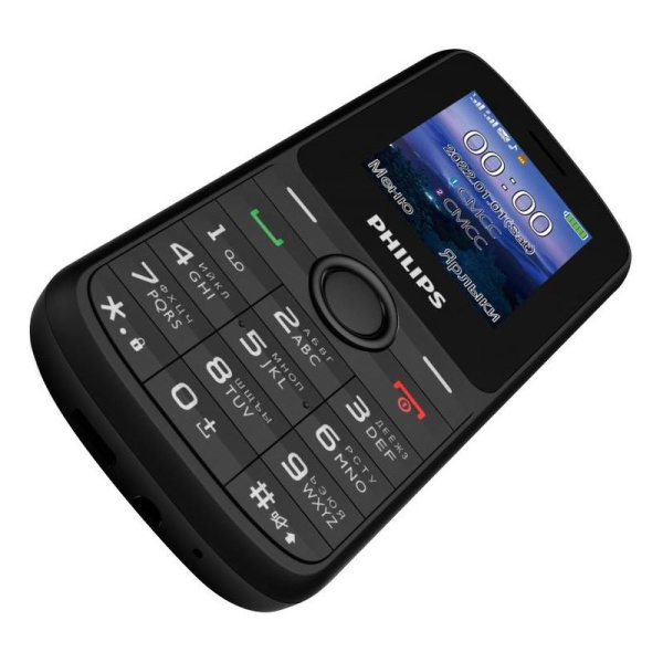 Мобильный телефон Philips Xenium E2101 черный (CTE2101BK/00)