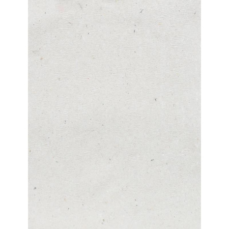 Бумага туалетная Островская Новинка 1-слойная серая (48 рулонов в упаковке)