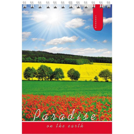 Блокнот Проф-пресс А6 40 листов в ассортименте в клетку на спирали (95x145 мм) Блокнот Проф-пресс А6 40 листов в ассортименте в клетку на спирали (95x145 мм)