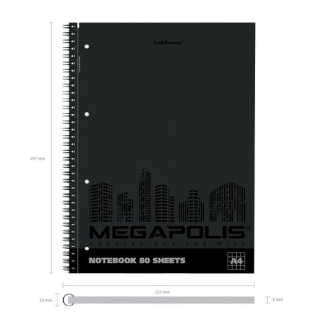Тетрадь общая ErichKrause Megapolis А4 80 листов в клетку на спирали  (обложка черная)