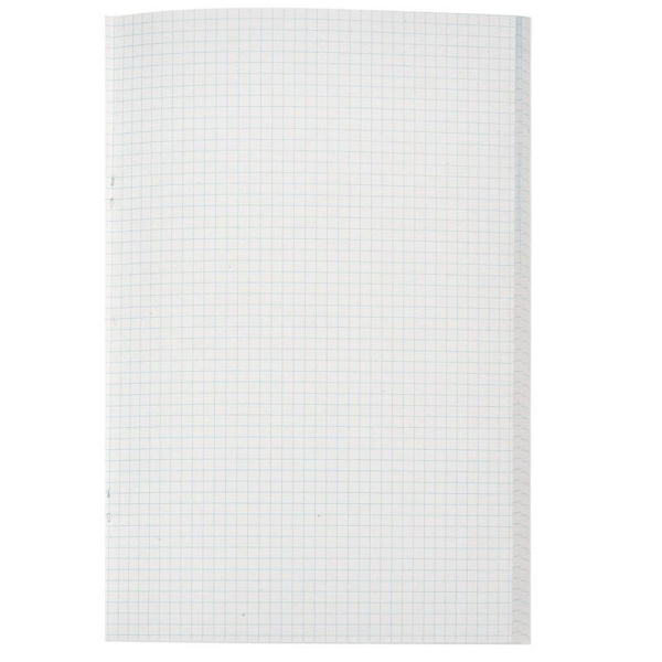 Тетрадь общая А4 96 листов в клетку на скрепке (обложка синяя)