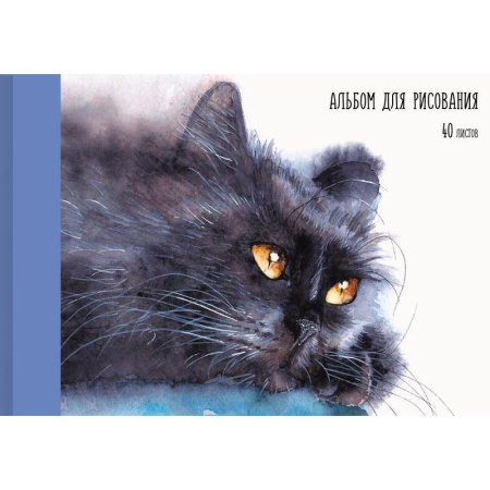 Альбом для рисования Канц-Эксмо Котик А4 40 листов