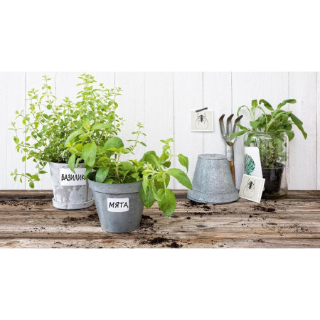 Этикетки самоклеящиеся Avery Zweckform Living  всепогодные белые 47.5x35 мм (8-4 штуки на листе A4, 24 листа в упаковке)