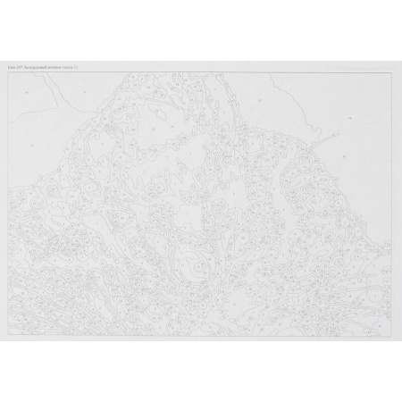 Картина по номерам Леопардовый котенок Картина по номерам Леопардовый котенок