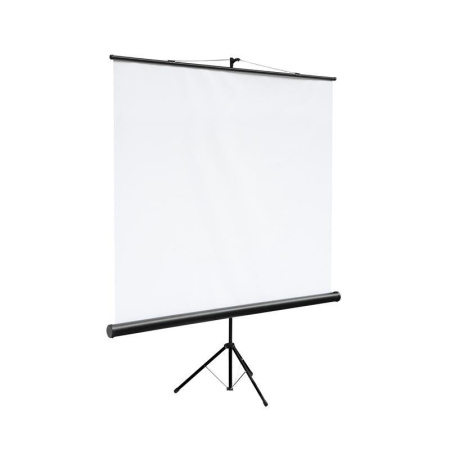 Экран Digis мобильный 200х200, (DSKC-1103) Экран Digis мобильный 200х200, (DSKC-1103)