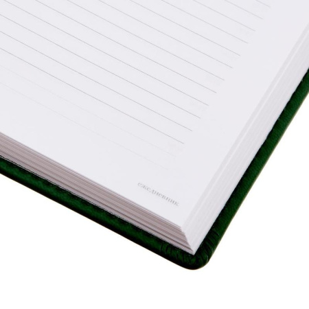 Ежедневник недатированный Attache Velvet искусственная кожа A5+ 136  листов зеленый (146х206 мм) Ежедневник недатированный Attache Velvet искусственная кожа A5+ 136  листов зеленый (146х206 мм)