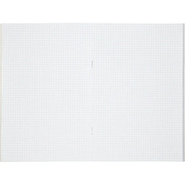 Книга учета 48 листов А4 в клетку на скрепке блок типографская бумага  Выбор есть (обложка из картона) Книга учета 48 листов А4 в клетку на скрепке блок типографская бумага  Выбор есть (обложка из картона)