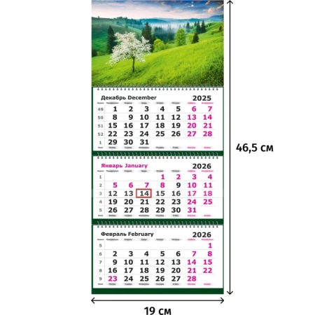 Календарь настенный 3-х блочный 2026 природа 19x46.5 см