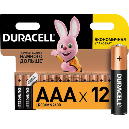 Батарейки Duracell Basic мизинчиковые ААA LR03 (12 штук в упаковке)