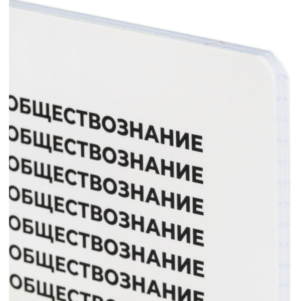 Тетрадь предметная по обществознанию Комус Класс Кириллица А5 48 листов  в клетку, Soft Touch