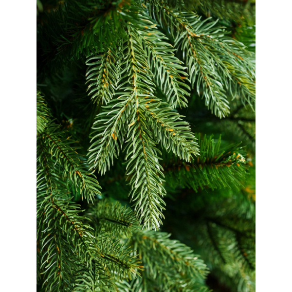 Ёлка искусственная новогодняя Green Trees Валерио Премиум напольная 2.4  м