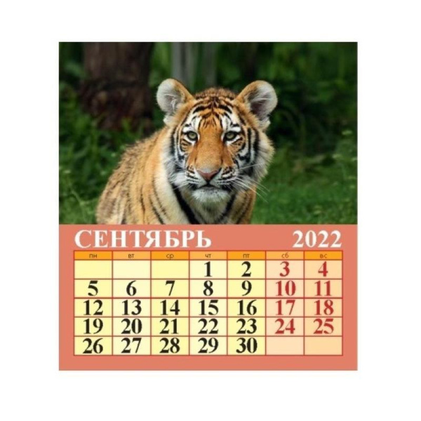 Календарь-домик настольный на 2022 год Символ года (100х140 мм)